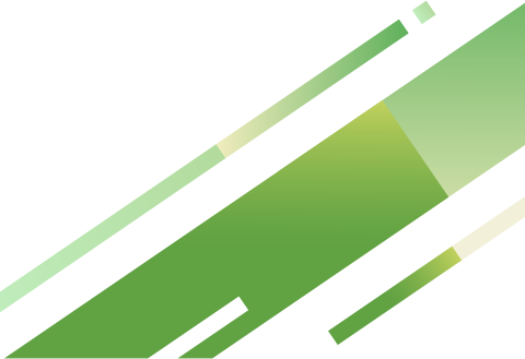 社員インタビュー